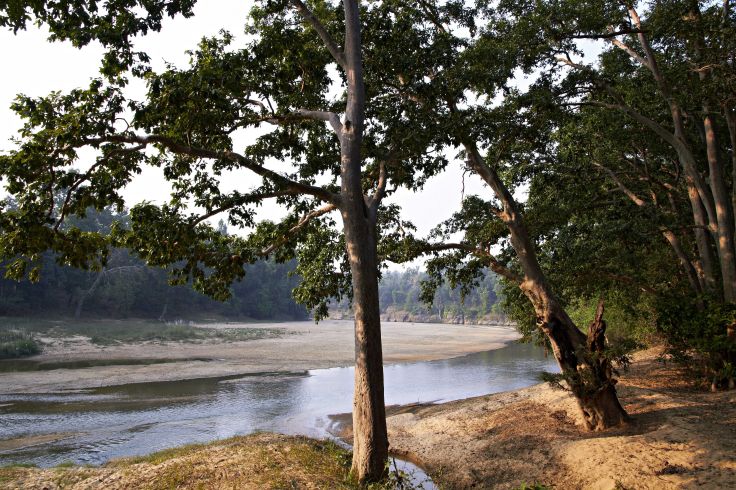 Samode Safari Lodge - Bhandavgarh - Inde