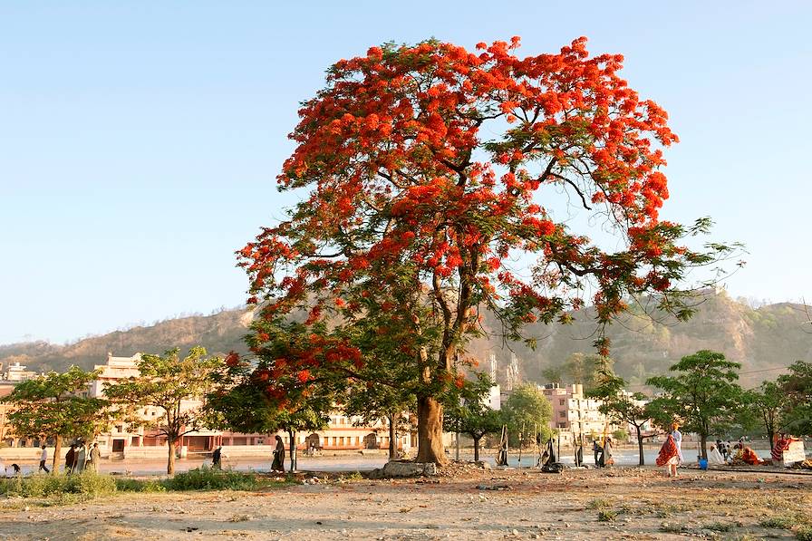 Haridwar - Uttarakhand - Inde
