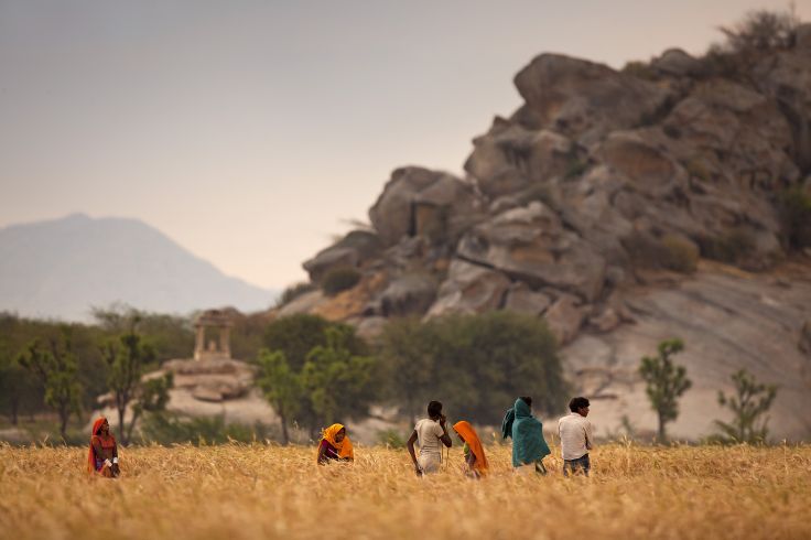 Jawai Bandh - Inde