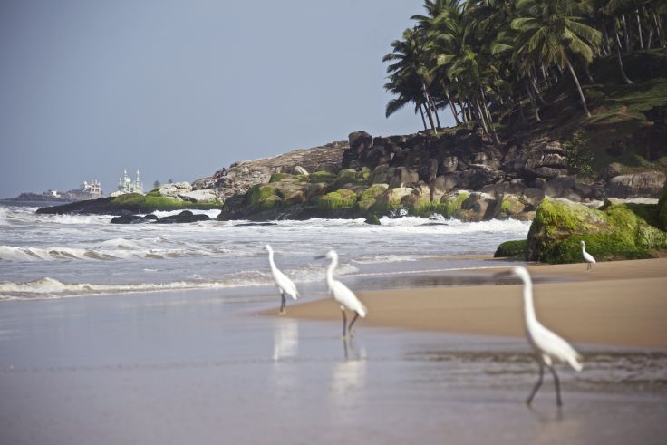 Kovalam - Kerala - Inde