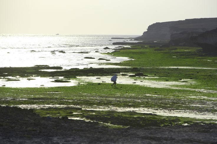 Plage de Nagoa - Ile de Diu - Inde