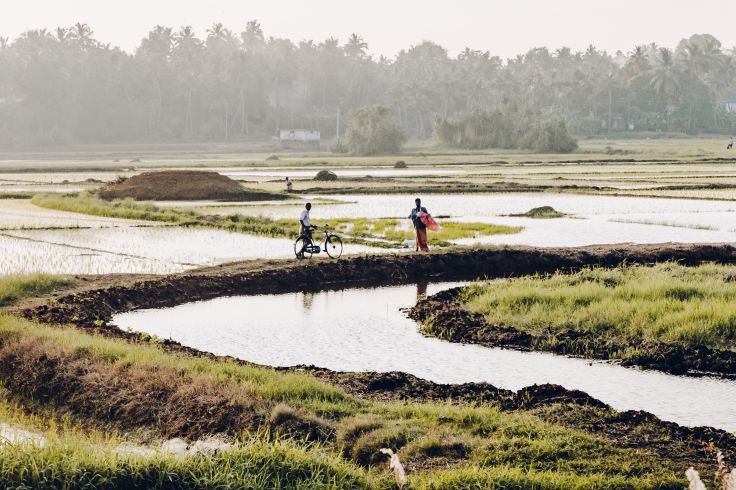 Kerala - Inde