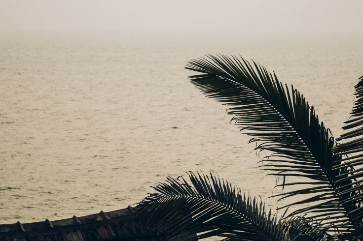 Kovalam - Kerala - Inde