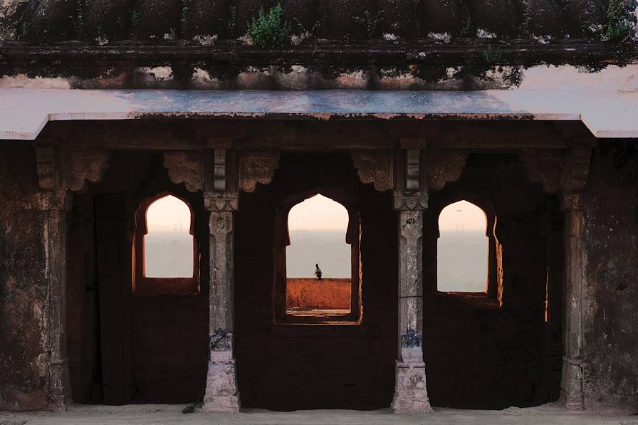 Jaipur - Inde