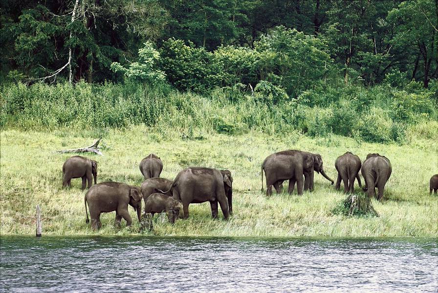 Parc de Periyar