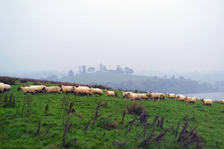 Région de Enniskillen - Irlande du Nord - Royaume-Uni