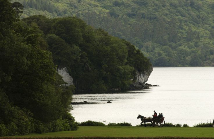 Parc national de Killarney - Comté de Kerry - Irlande