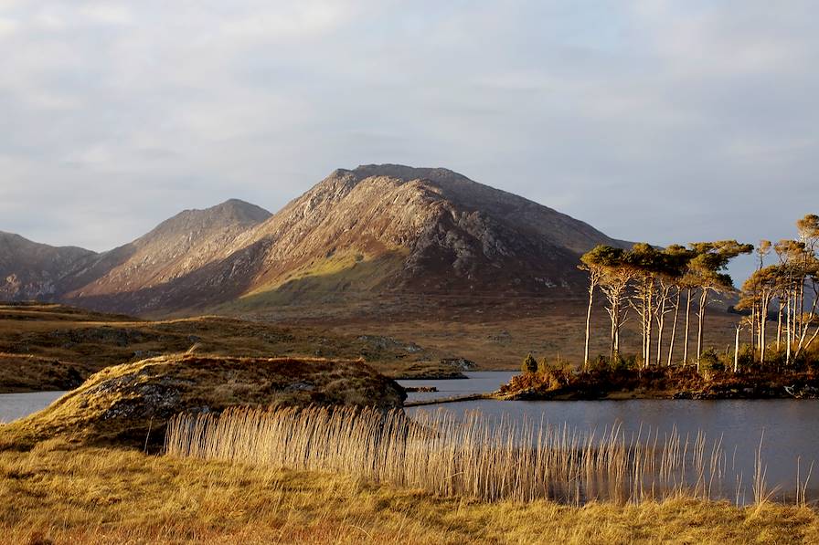 Premier voyage en Irlande : Kerry, Burren, Connemara et Dublin