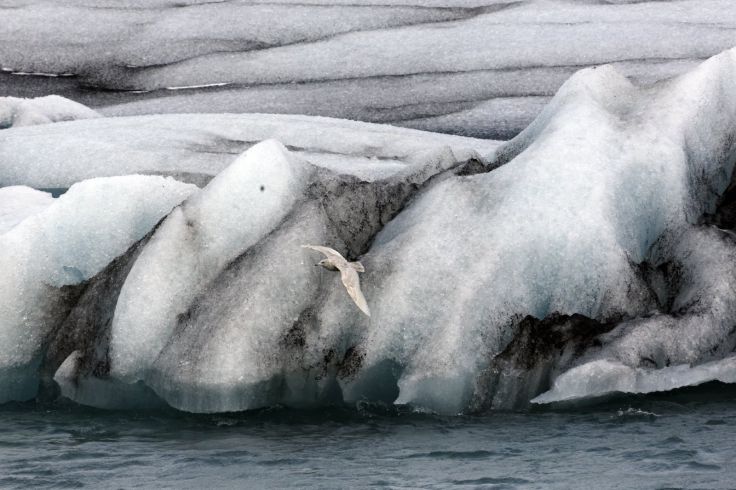Jokulsarlon - Islande