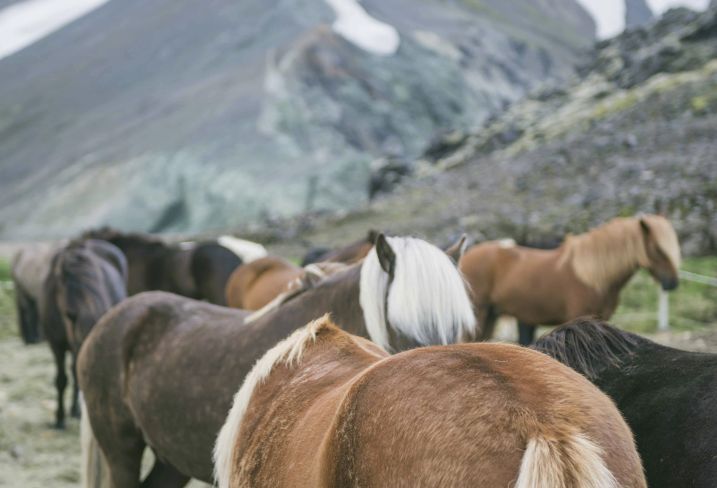 Landmannalaugar - Islande