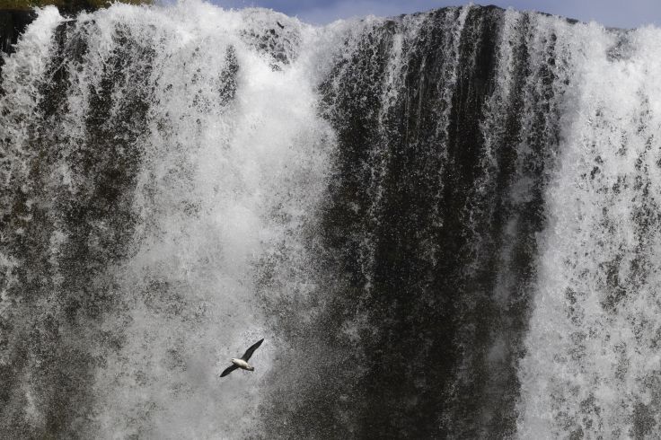 Skógafoss - Islande
