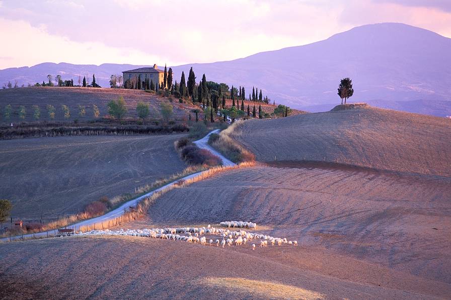 Région de Sienne - Toscane - Italie