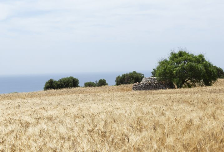 Pouilles - Italie