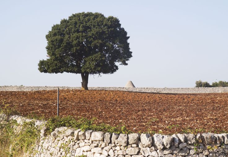 Salento - Pouilles - Italie