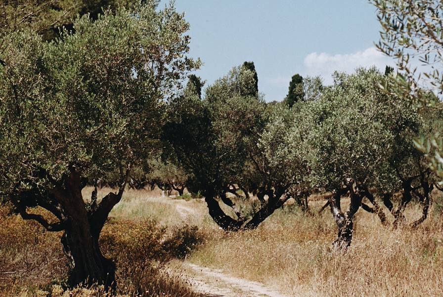 Pouilles - Italie © Faustine Poidevin