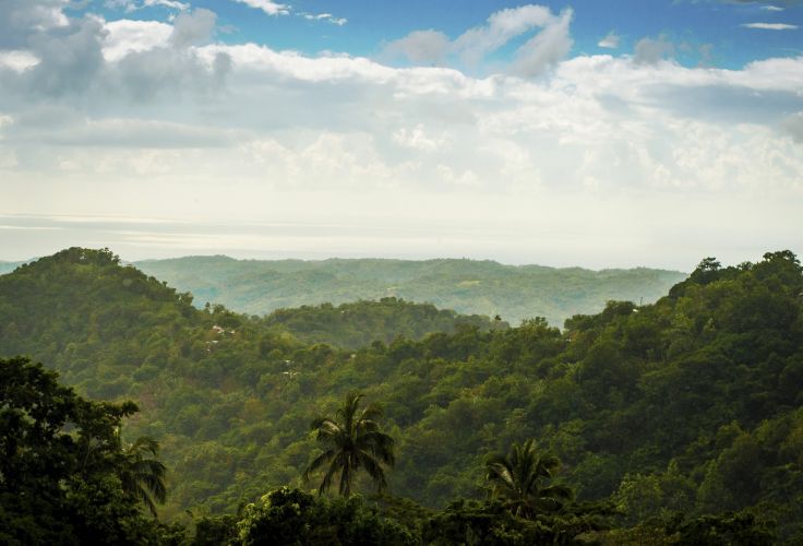 Blue Mountains - Jamaïque