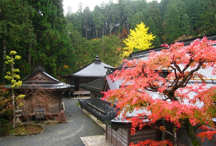 Temple Fudo-in - Mont Koya San