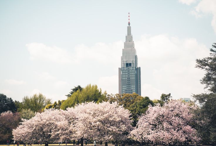 Tokyo - japon