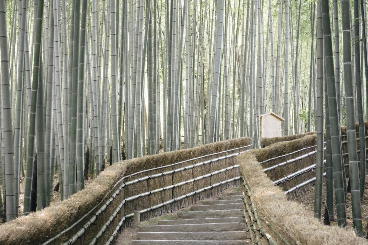 Arashiyama - Japon