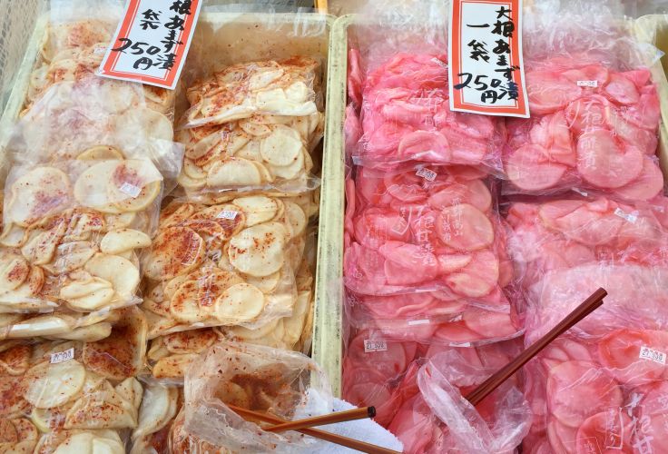 Takayama - Région du Chubu - île d'Honshu - Japon