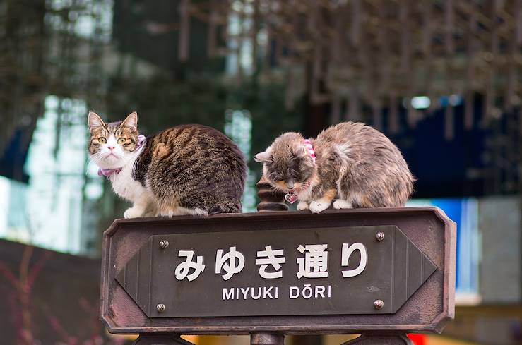 Ginza - Tokyo - Japon