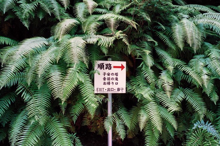 Japon
