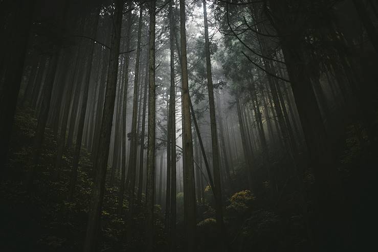 Mont Koya - Wakayama - Kansai - Japon