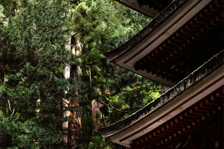 Japon