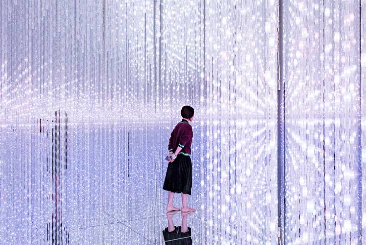 teamLab Borderless - Tokyo - Japon