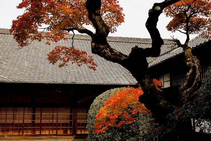 Japon