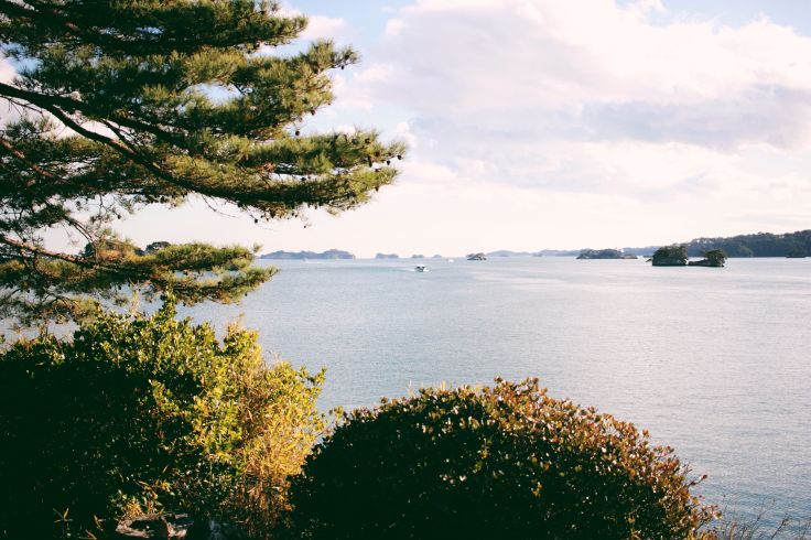 Baie de Matsushima - Japon