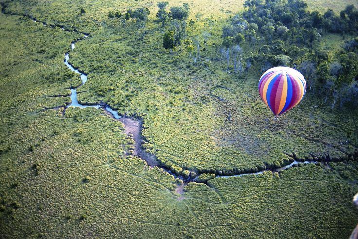 Réserve du Massai Mara - Kenya