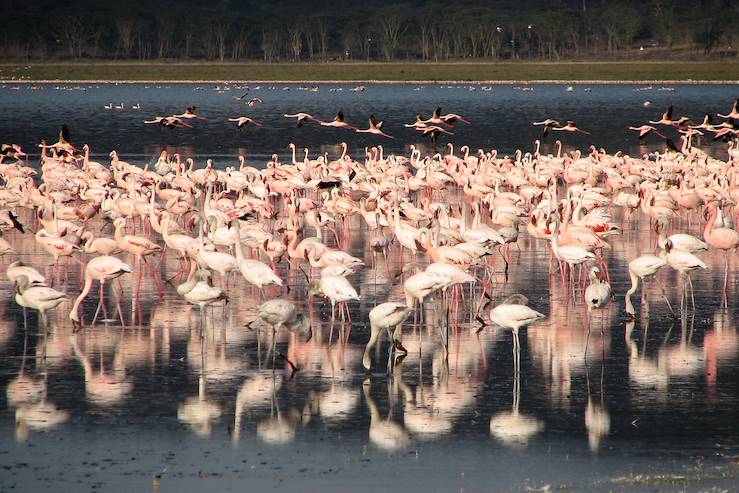 Région de Nakuru - Kenya