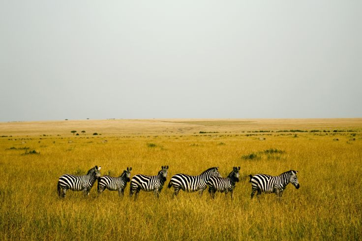 Kenya