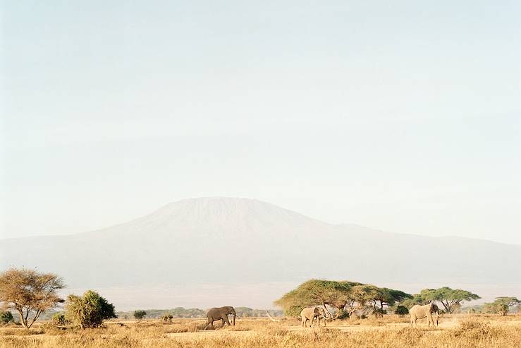 Réserve naturelle de Kimana - Kenya