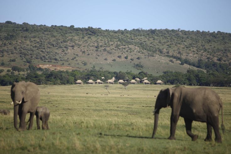 Reserve du Massai Mara - Kenya