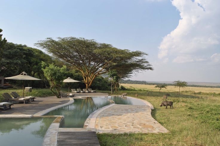 Reserve du Massai Mara - Kenya
