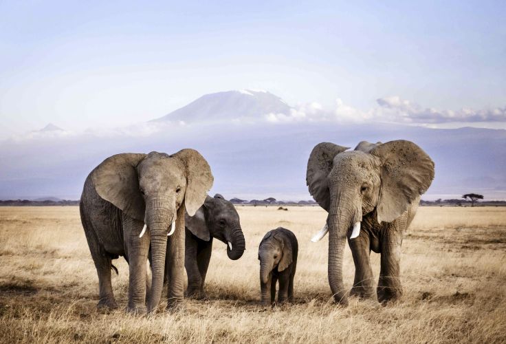 Mont Kenya