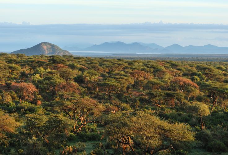 Laikipia - Kenya