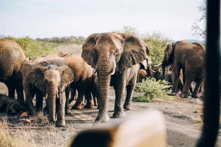 Kenya
