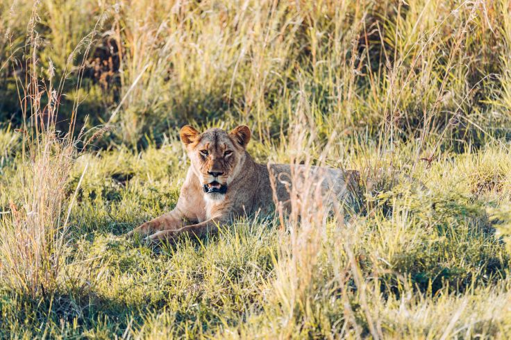 Kenya