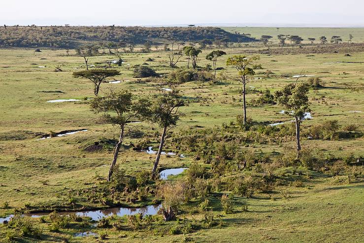 Réserve nationale du Masai Mara - Kenya