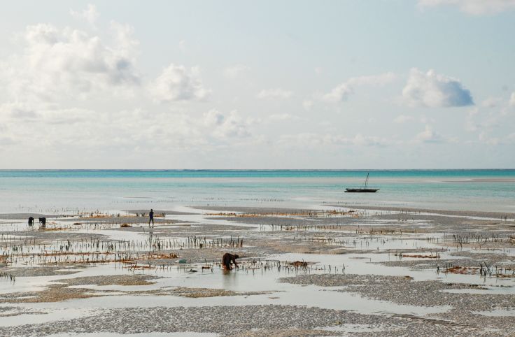 Sur une plage de Zanzibar - Tanzanie