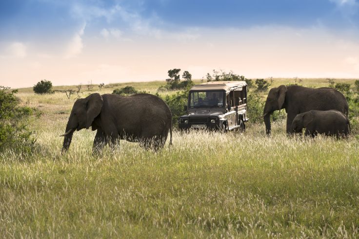 Laikipia - Kenya
