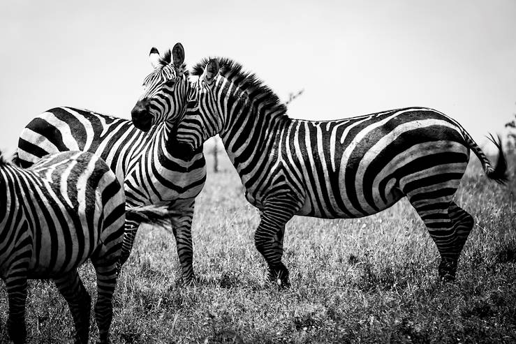 Laikipia - Kenya