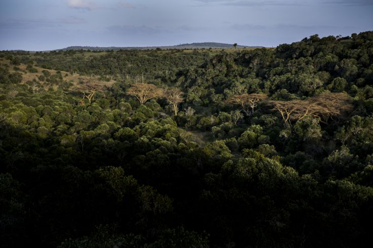 Laikipia - Kenya