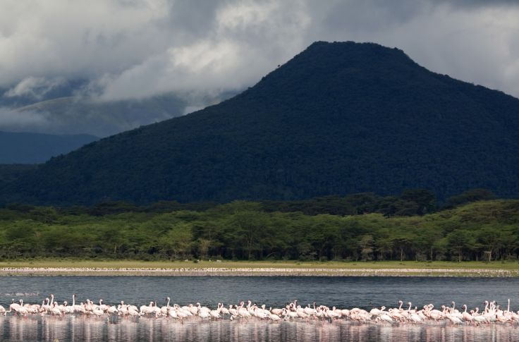 Lac Naivasha - Kenya 