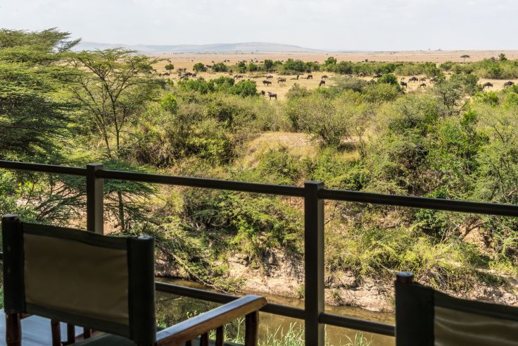 Réserve du Masai Mara - Kenya