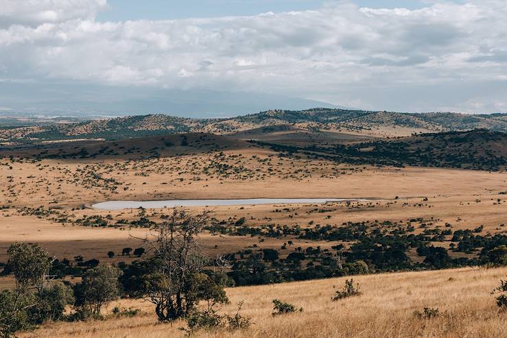 Laikipia - Kenya