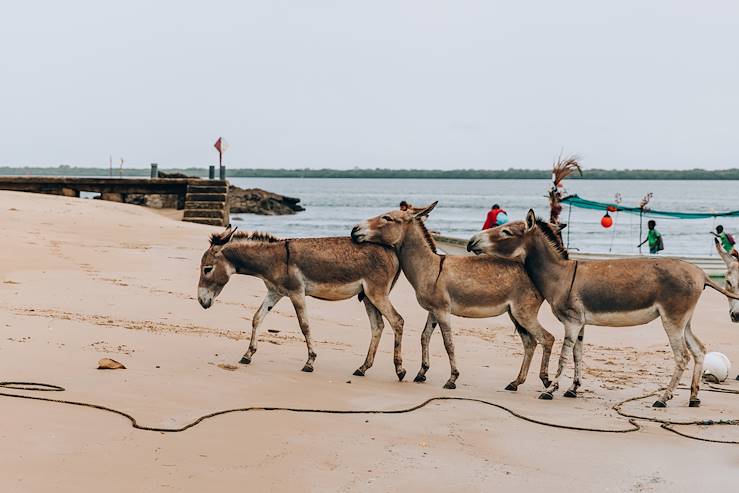 Lamu - Kenya